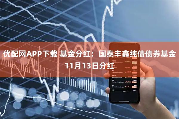 优配网APP下载 基金分红:国泰丰鑫纯债债券基金11月13日分红