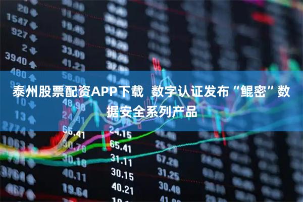 泰州股票配资APP下载  数字认证发布“鲲密”数据安全系列产品